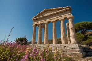 de ruiner av de tempel av apollo på efesos, Kalkon foto