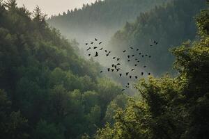 fåglar flygande över en skog område med träd foto