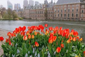 de stad av håla haag i holland foto