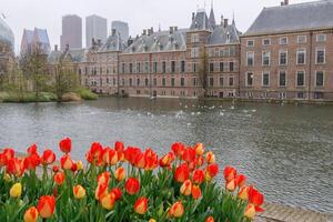 de stad av håla haag i holland foto