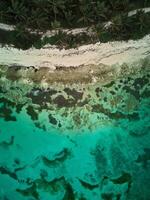 antenn se av korall och strand. topp se. Dominikanska republik. punta cana foto