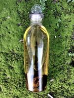 oliv olja i en flaska på mossa gräs bakgrund och plåster foto