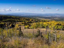 höstaspar längs riksväg 8, norra New Mexico foto