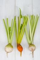 grönsaker, rödbetor i olika färger. studiofoto. foto