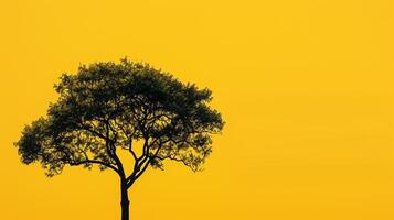 abstrakt natur grön träd silhuett på gul foto