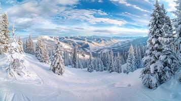 skön vinter- natur landskap Fantastisk berg foto