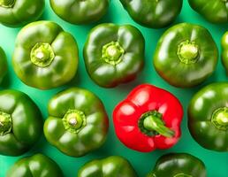 distinkt röd peppar i en linje av grön paprikor kontrast bilder foto