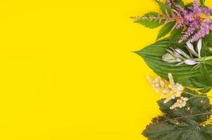 ram mock up med trädgård ljusa blommor på gul bakgrund. studiofoto foto