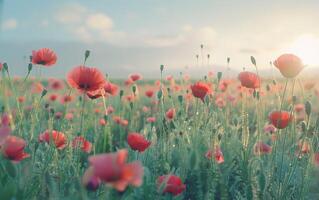 en målning av en fält av röd blommor med en blå himmel i de bakgrund foto