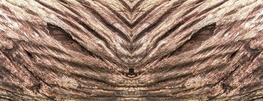 trä- textur wallpapper med likvärdig tvåsidig mönster. foto