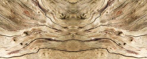 trä- textur wallpapper med likvärdig tvåsidig mönster. foto
