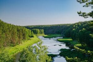 lugn flod i grönskande sommar skogsmarker foto