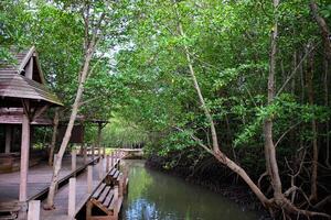 trä- thai paviljong vid vatten i crabapple mangrove av mangrove skog i thailand foto