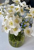 en lugn arrangemang av vit vår blommor och delikat blå glöm-mig-inte i en klar glas burk, uppsättning mot en mjuk ljus bakgrund, förkroppsligande friskhet och naturlig skönhet. foto