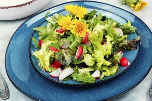 färsk maskros sallad foto