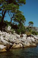 Fantastisk se av de adriatisk hav nära lokrum ö, dubrovnik, kroatien. resa destination i kroatien. foto