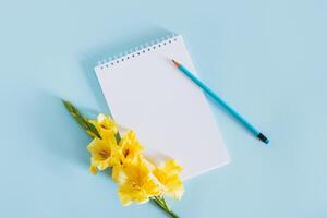 skön gul gladiolus blomma och en anteckningsbok med tom sida på en blå bakgrund. foto