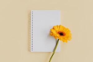 anteckningsbok med tom sida och gul gerbera blomma på ljus gul bakgrund. foto