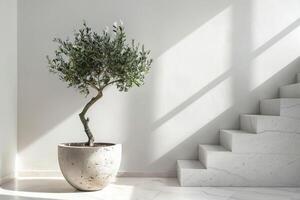 ristade oliv träd visas i eleganta marmor kastruller foto