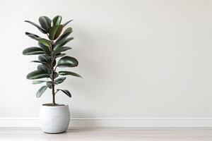 en slående sudd träd visas i en minimalistisk pott. foto