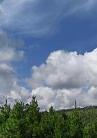 skön landskap med en träd och en blå himmel foto