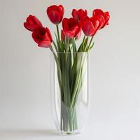 genomskinlig akryl vas fylld med eldig röd tulpaner. foto