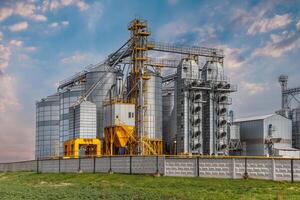 silos på agroindustriell komplex med utsäde rengöring och torkning linje för spannmål lagring foto