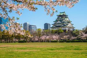 nishinomaru trädgård av de osaka slott på osaka stad i japan foto