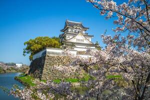 kishiwada slott, en japansk slott belägen i kishiwada stad, Osaka, japan. foto