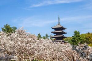 fem storied pagod av ninnaji tempel i Kyoto, kansai, japan foto