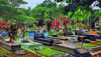 en kyrkogård med många gravar och träd foto