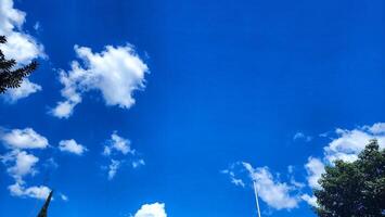 en blå himmel med moln och träd foto