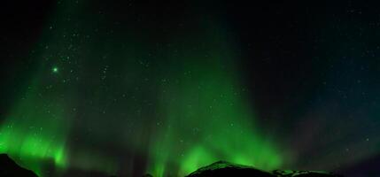 aurora australis eller aurora borealis eller grön nordlig lampor himmel ovan berg. foto