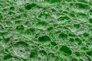 svamp textur bakgrund. grön färg rengöring svamp material detalj närbild vy. diskning eller skönhetsvård. makro