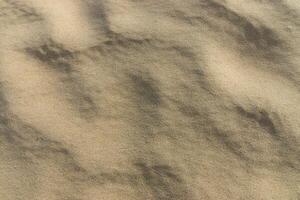 sand bakgrund textur. foto