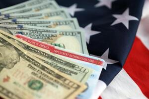 sysselsättning tillstånd kort förenad stater av Amerika arbete tillåta och dollar räkningar på flagga foto