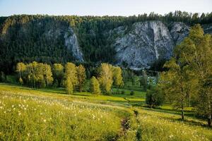 grön skog kväll belysning, sten på de flod Bank, spår klättrar uppför, turist rutt, landskap, panorama från en höjd. foto