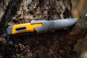 turist kniv bushcraft lögner på en träd, kompakt lättvikt och mycket skarp kniv för överlevnad i de skog, plast slida. foto