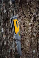 turist överlevnad kniv med gul hantera, grå slida, kniv hängande på en träd. foto