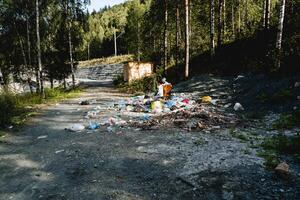 en massa av sopor i de skog, spridd lämningar av mänsklig liv, ett ekologisk katastrof, en spontan deponi, problem i de vild. foto