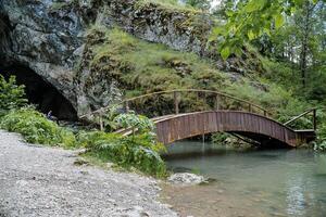 de gammal sten ingång till de grotta är en trä- bro över de flod, utomhus- rekreation, skön landskap, parkera område i de skog, berg ström. foto