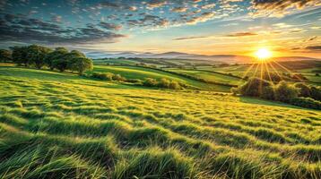 soluppgång över ett irländsk landskap av jordbruks fält, kullar, och träd badade i gyllene solljus foto