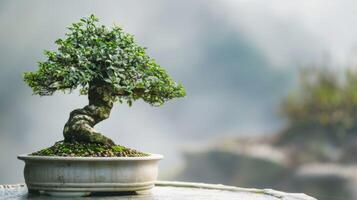 bonsai träd i pott visa upp konst av hortikultur och lugn japansk trädgårdsarbete foto