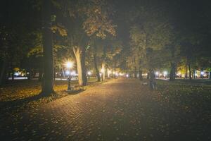 natt parkera i höst med fallen gul lämnar.stad natt parkera i gyllene höst med lyktor, fallen gul löv och lönn träd. årgång filma estetisk. foto