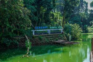 jepara, central java, april 16, 2024 - skylt för sjö turism i de mitten av de skog med mossiga grön vatten foto