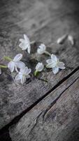 topp se av en knippa av jasmin blommor på ett gammal trä- tabell. foto
