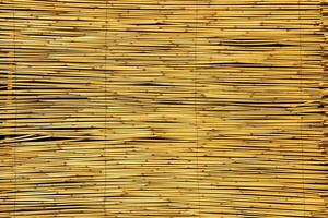 textur av orientalisk bambu gardiner. abstrakt bakgrund. foto