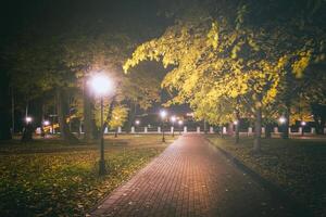 natt parkera i höst med fallen gul lämnar.stad natt parkera i gyllene höst med lyktor, fallen gul löv och lönn träd. årgång filma estetisk. foto