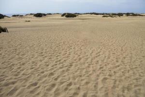 underbar hörn av gran kanaria, maspalomas, roque nublo, las palmas, puerto mogan, mirador del balkong, och playa de amadores foto