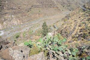 underbar hörn av gran kanaria, maspalomas, roque nublo, las palmas, puerto mogan, mirador del balkong, och playa de amadores foto